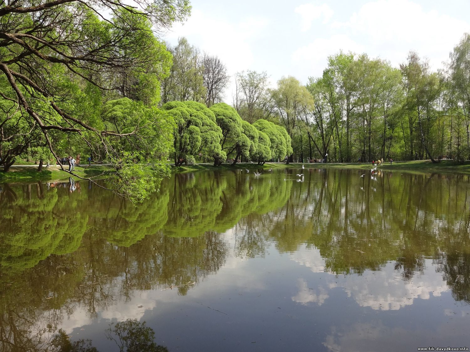 суворовский парк кунцево